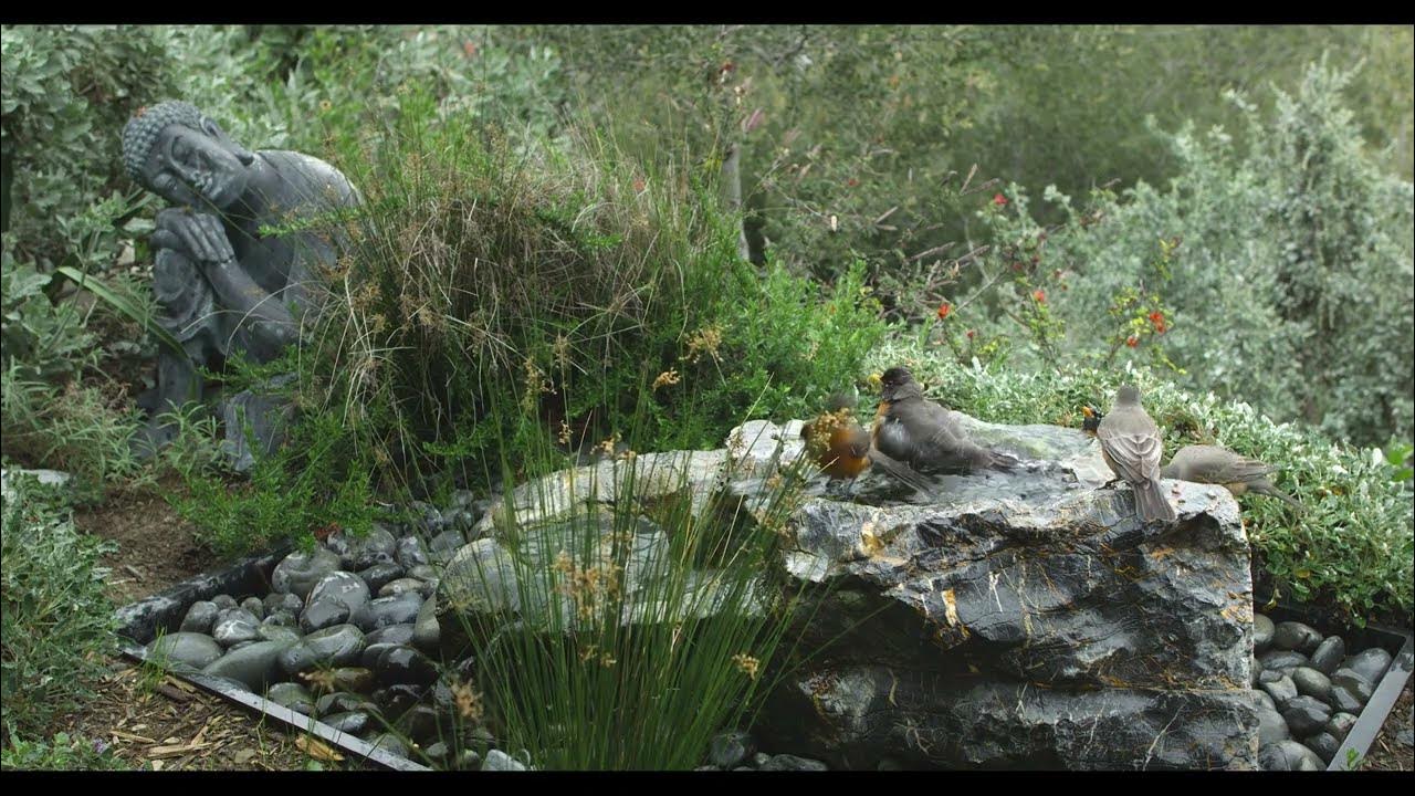 Full 18 Minutes of Robin Zen YouTube