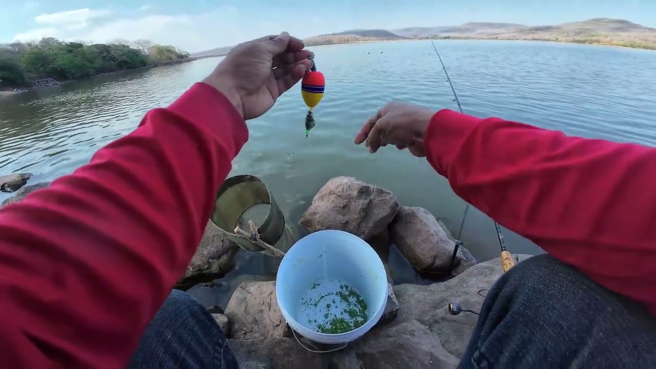 มือใหม่ตกปลา EP 168 อ่างเก็บน้ำห้วยสังเคียบครั้งแรกของปี 2569 ตอนที่ 2