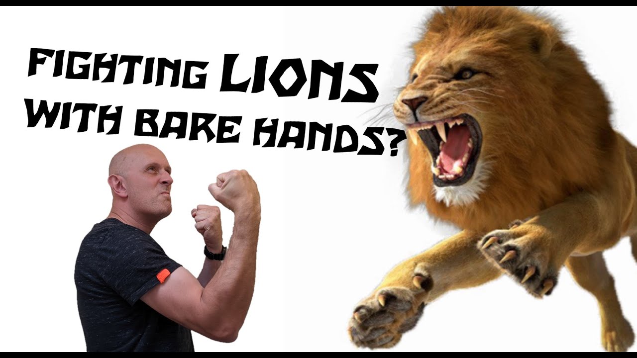 Could You Beat A LION In A Fight WITH BARE HANDS YouTube could-you-beat-a-lion-in-a-fight-with-bare-hands-youtube
