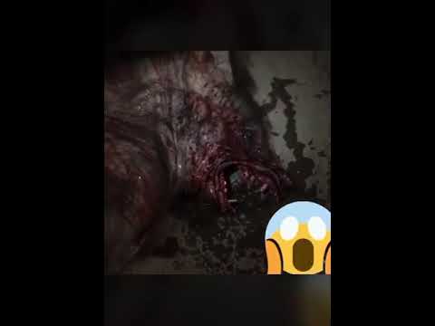 انسان على شكل ذيب في السعودية هجم عليهم