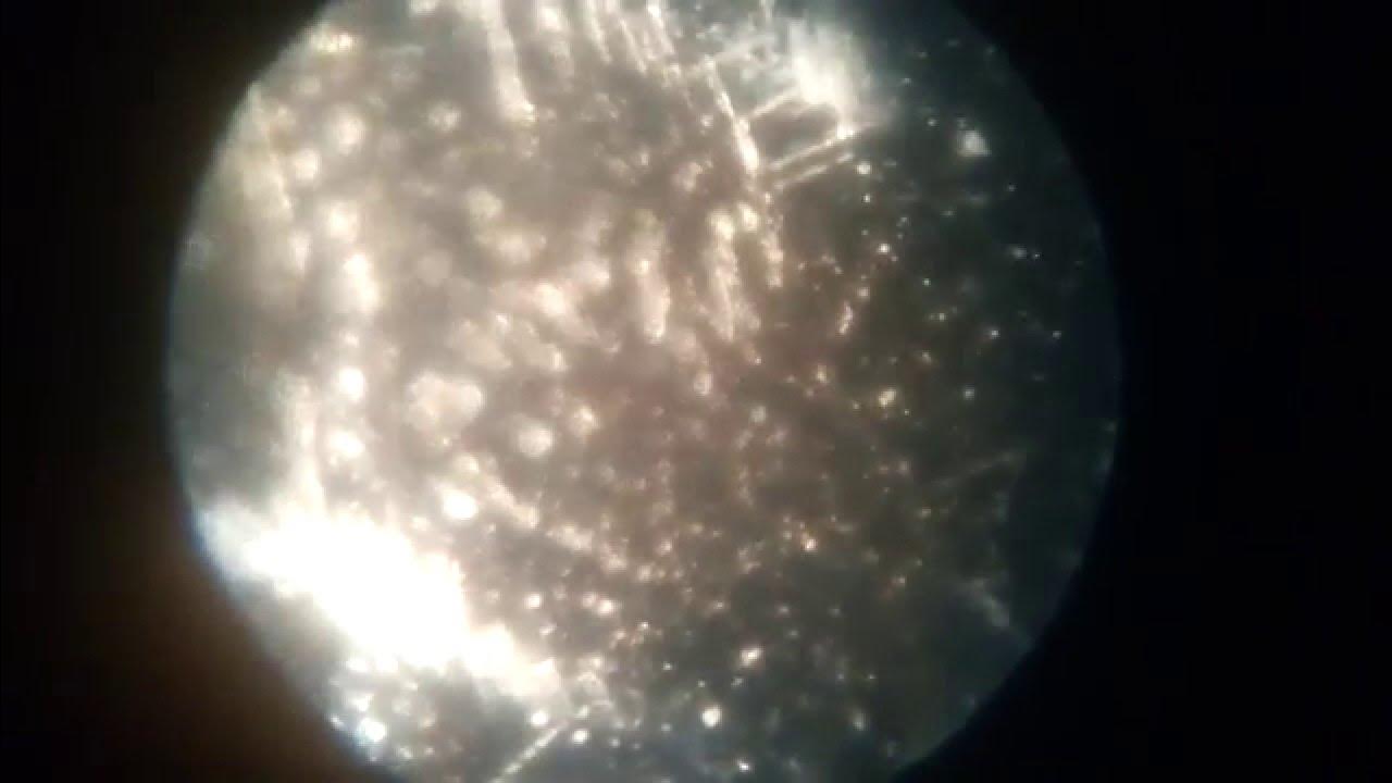 Coloured Paper under the microscope [30x 60x 1100x] YouTube