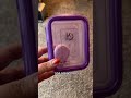 Kid Struggles to Babysit Virtual Pet 🐾