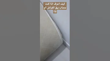 كيف اعرف اذا البيت مصاب ب بق الفراش ام لا 