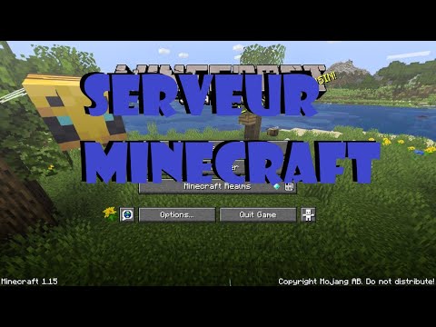 Comment créer un serveur minecraft gratuit - YouTube