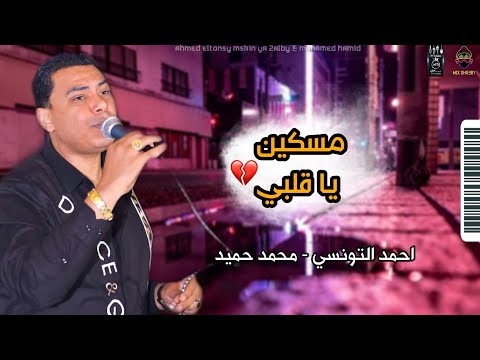 احمد التونسي الغمراوي مسكين يا قلبي وروقان مع محمد حميد مواويل جديد 2022