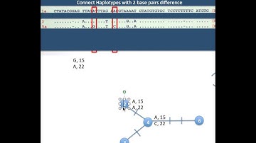 10 Dec Haplotype Networks Reading Guide