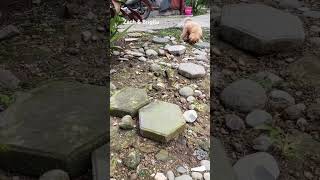 Download Lagu semua kebaikan akan kembali ...pastikan kamu baik🤎 MP3