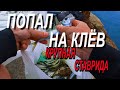 Черноморская Ставридка! Ночная Рыбалка на Черном Море! Снасть Самодур