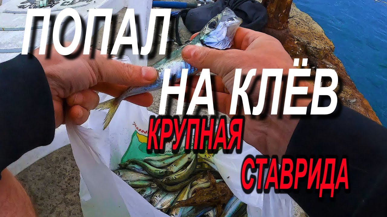 Черноморская Ставридка! Ночная Рыбалка на Черном Море! Снасть Самодур ...