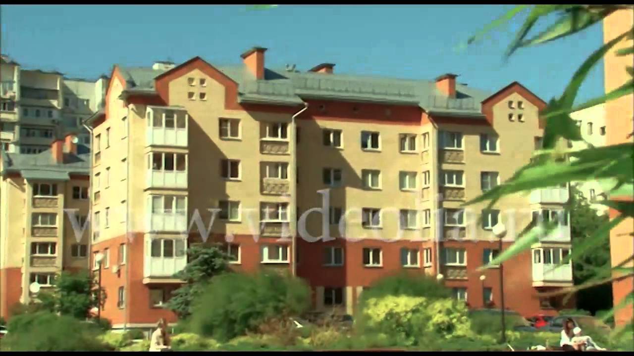 Совхоз нива ростов