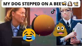 My dog stepped on a bee 😖#teamjonnydepp#mydogsteppedonabee