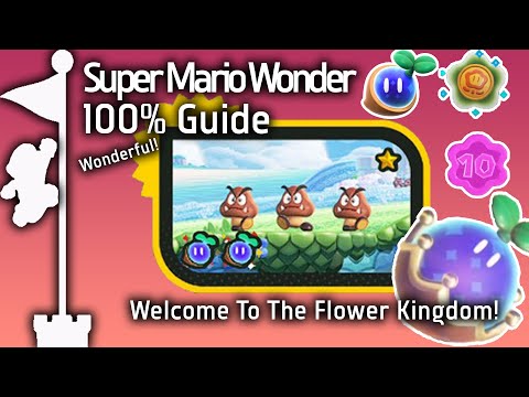 Search Party Mario Wonder Guide: Super Mario Bros Puzzle Park Tips –  StyleCaster