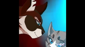 hawkfrost x ivypool