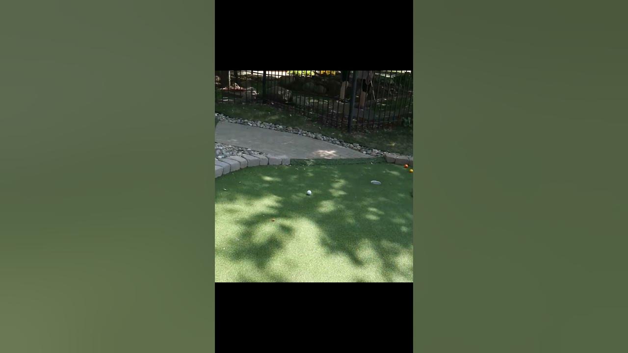 the-weirdest-mini-golf-hole-in-one-of-the-millenium-shorts-minigolf
