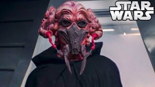 What If Plo Koon Didn't Die During Order 66? (fast version)