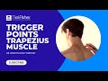 Trapezius trigger points  self treatment