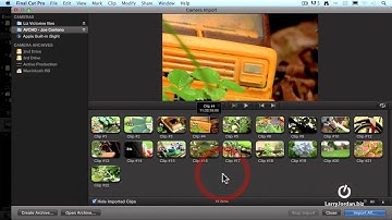 Importing media from a file-based camera or card - Larry Jordan