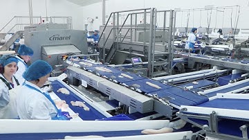 FleXicut – Quality seafood deserves quality processing