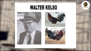 LA HISTORIA DEL CRIADOR DE GALLOS WALTER KELSO