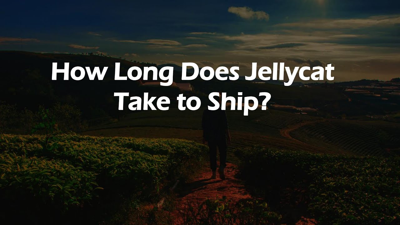 How Long Does Jellycat Take to Ship?