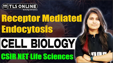 Receptor Mediated Endocytosis | Cell Biology | CSIR NET Life Sciences 2025 |