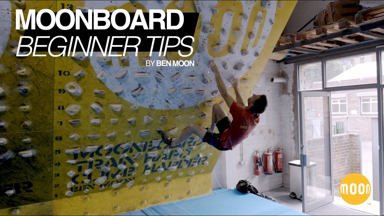 Moonboard Original School Holds, climbing holds