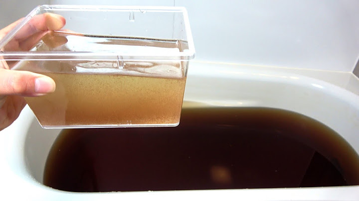 マコモ湯にミジンコ100万匹をぶちこんで浄化する