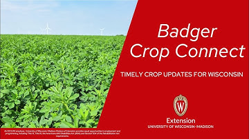 Badger Crop Connect Webinar Series 2024: Sep 25, 2024 Biological Nitrogen Steven Hall