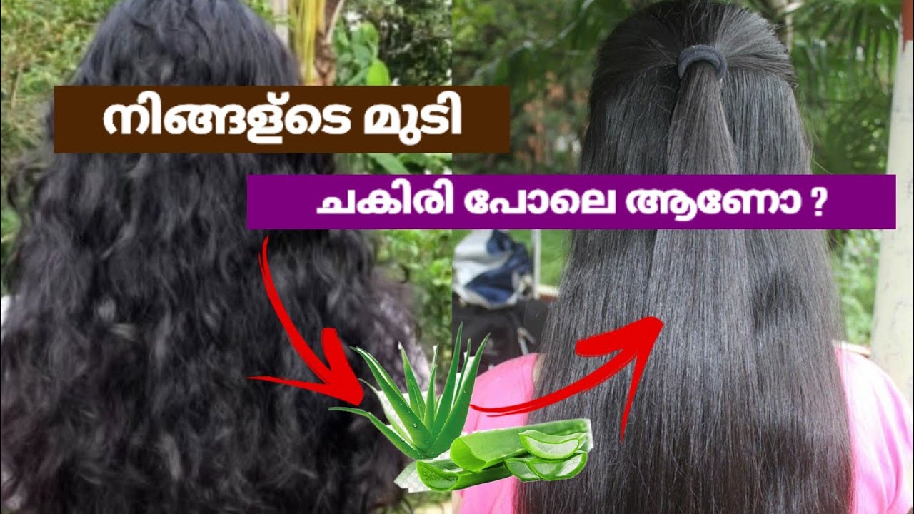 ഒറ്റ ദിവസത്തിൽ ചകിരിനാര് മുടി പട്ടുപോലെ തിളങ്ങും Hair Pack Malayalam