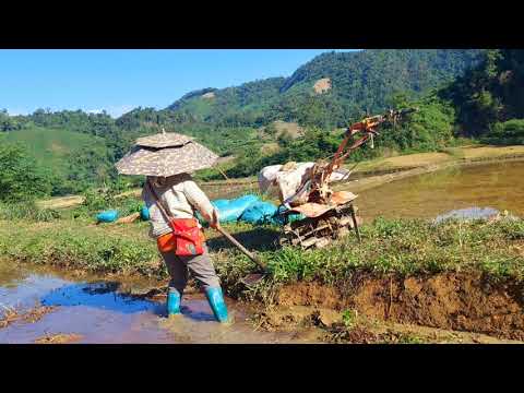 Video: Yuav Ua Li Cas Nyob Tau Yooj Yim Tsis Ua Haujlwm