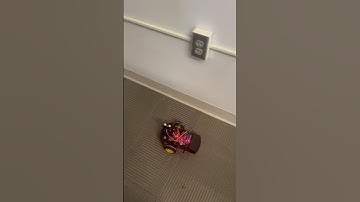 Robot Wall Following with Obstacle Avoidance