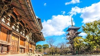 東寺(教王護国寺) | InishieJapan(イニシエジャパン) - 訪日外国人観光