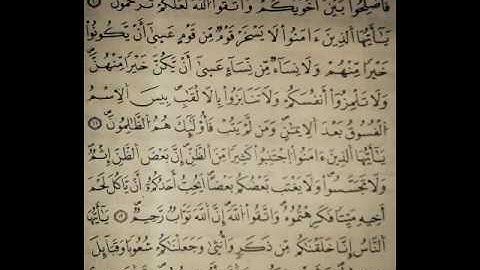 سورة الحجرات الاية 10 13 ياسر الدوسري