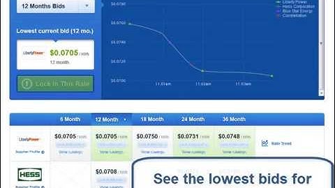 The LLB Group Energy Procurement- Sample Live Auction