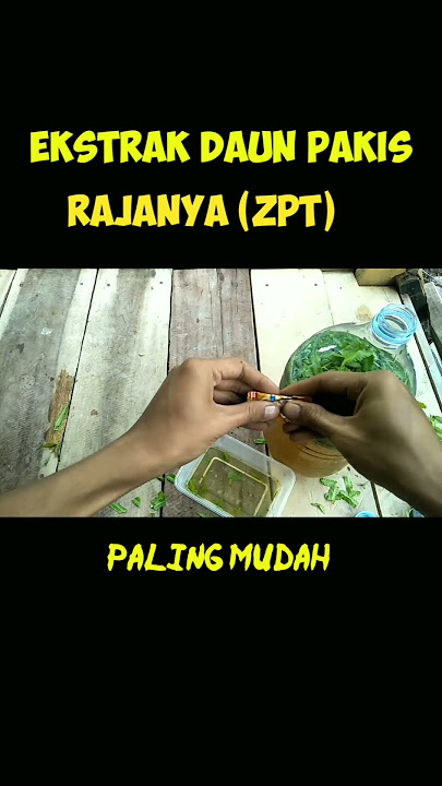 Ternyata Begini Tutorial Proses Pembuatan Ekstrak Daun Agar Tanaman Sehat #ekstrakdaun #pupuk #poc