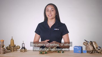 Series LF719: Double Check Valve Assembly