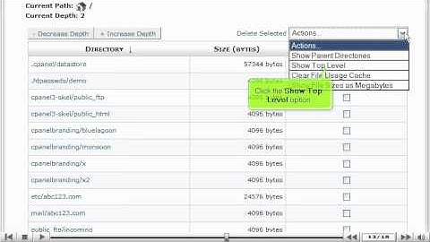 Use the Disk Usage Viewer in cPanel | cPanel Disk Space Usage