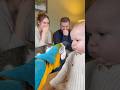 初めてオウムに文句を言われた赤ちゃん。どうしていいか分からず固まってしまう。。。#parrot #baby #cute #funny #shorts #赤ちゃん #オウム