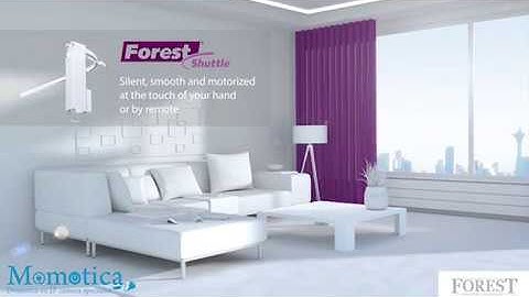 Forest Shuttle Montage