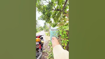 #shorts Căn nhà cấp 4 siêu rộng rãi lộ nhựa giá rẻ - LH: 0973.898.830 (Trương)