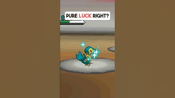 You Can RNG ANY SHINY Starter in Black/White