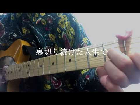 カメレオン/イシザキアユム