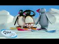 Pingu Has Fun with his Friends! 🐧 | Pingu - Official Channel | Cartoons For Kids