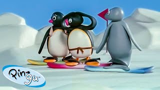 Pingu Has Fun with his Friends! 🐧 | Pingu - Official Channel | Cartoons For Kids