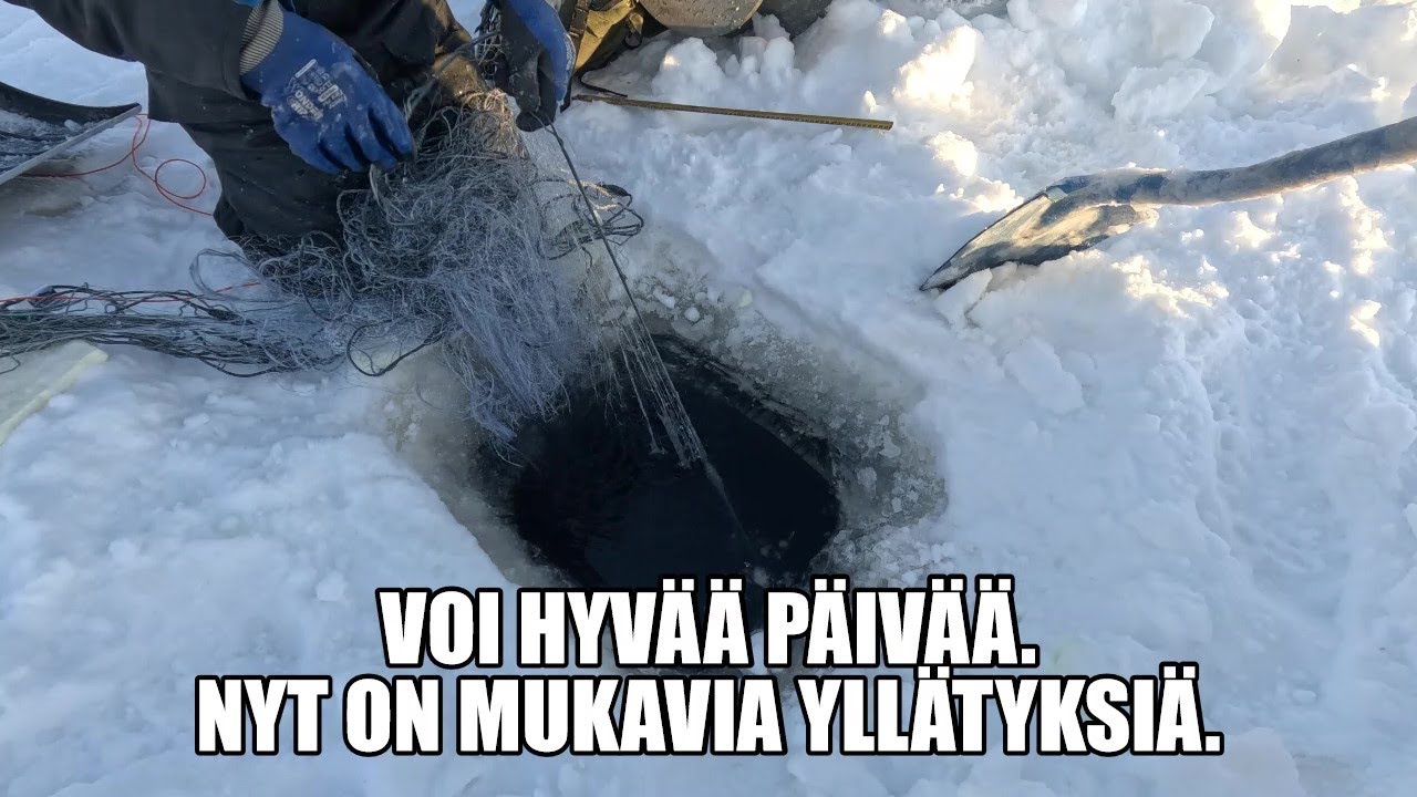 ISO YLLÄTYS, MUTTA MIKÄ ??