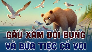 Gấu Xám Đói Bụng và Trận Chiến Tại Bữa Tiệc Cá Voi | Thích Khám Phá