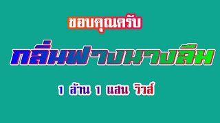 Video thumbnail of "กลิ่นฟางนางลืม - คาราโอเกะ น้องเดียว สุวรรณแว่นทอง"