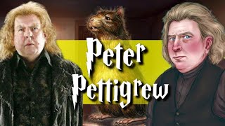 The Entire Life Of Peter Pettigrew (Harry Potter Explained)