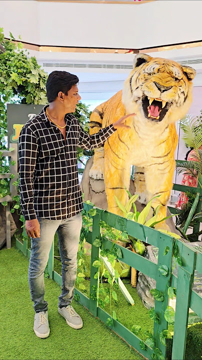 Don't touch tiger 😱 #shorts