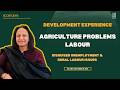 Agricultural Problems: Labour | Indian Economic Development Class 12 CBSE CUET 2026